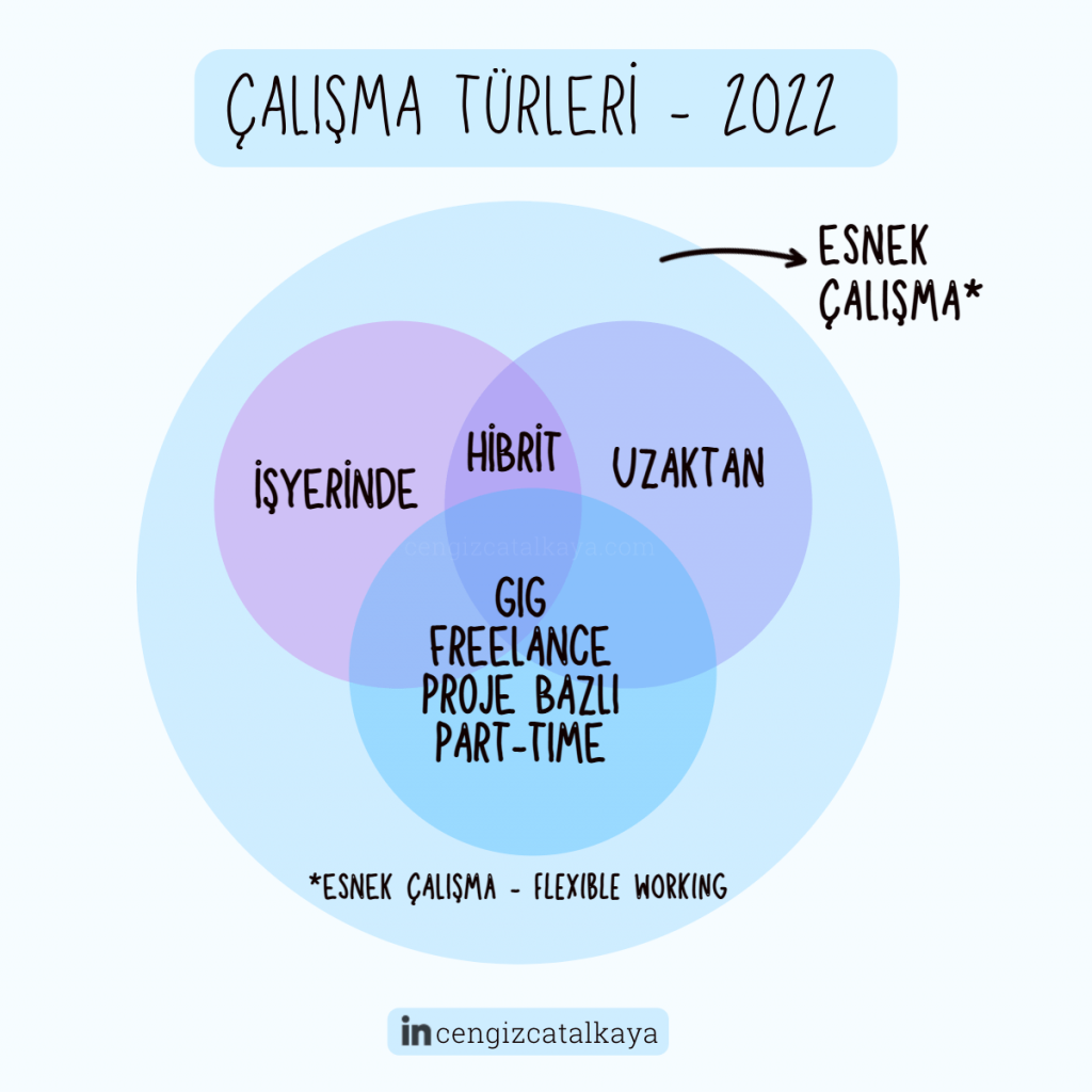 Calisma turleri 2022